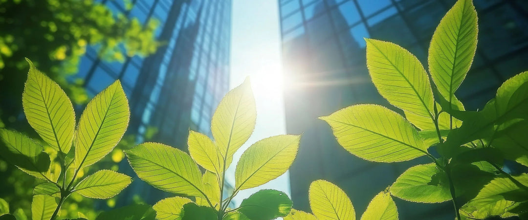 Solutions_esg.webp